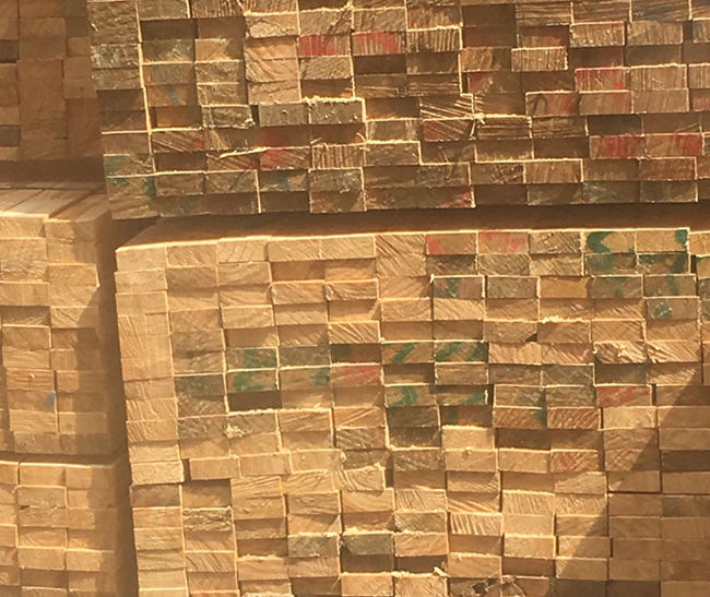 临猗新西兰进口松木